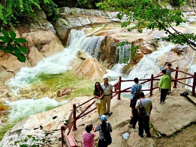 入伏了！黄柏塬带你走进19℃的夏天，云雾缭绕的山野避暑秘境
