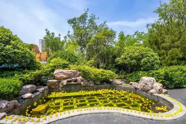 临沂人游临沂｜去河东热热闹闹赶大集，临沂人家门口的快乐清单