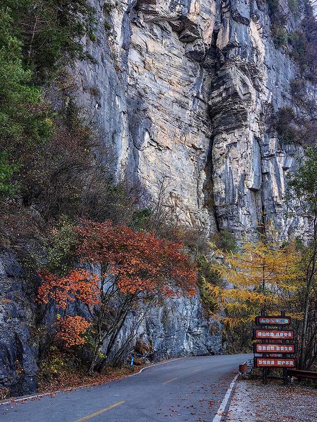 2024深秋四川行19 神农架风景区2 华中屋脊的五彩秘境