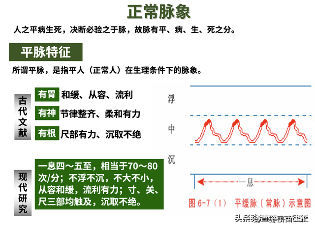 中诊入门：浮、散、革、芤脉，沉脉对比伏、牢脉，文末附《指法》