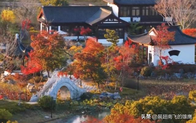 《11月29日周六逛昆山亭林园扎记》