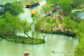 ]端午“极阳水”图片