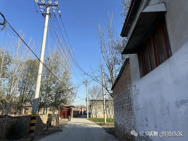 冠县乡韵·贾镇洼里村