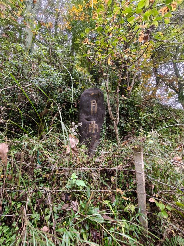仙居县谷坦水库环线走，半山深处藏人家，依山傍水远繁华