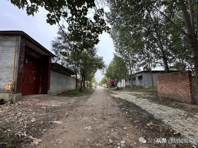 冠县乡韵·桑阿镇轧庄