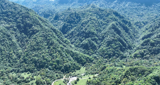 岁月守绿 “森森”不息——探秘甘肃小陇山国家级自然保护区