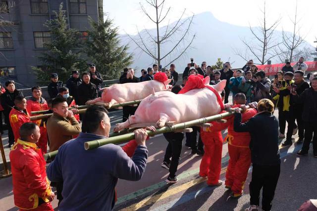 白河县天宝梯彩农园第二届年猪宴系列农文旅活动启动