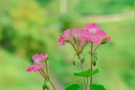 异性之间，微信里如此称呼，已经“越界”了，请注意！图片