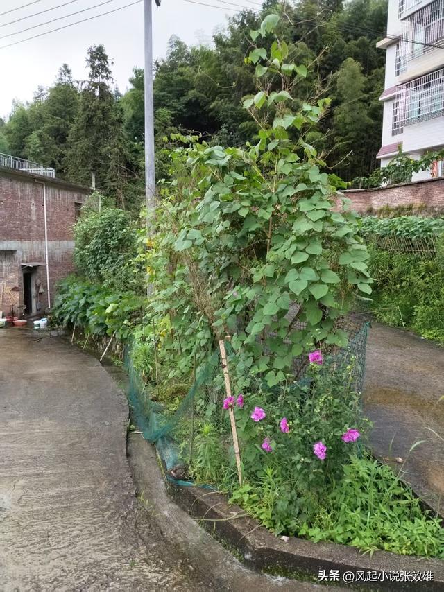 张效雄 闲说湘菜155 桂东农家民宿品土菜