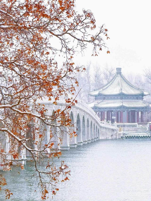 雪迎2026：颐和园又见素裹银装，半城惊鸿