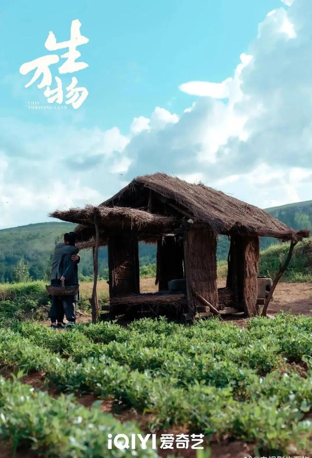 正在央视热播！电视剧《生万物》取景地在这里……
