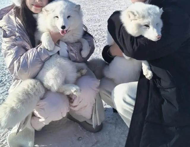 临沂，你真的好风光！！