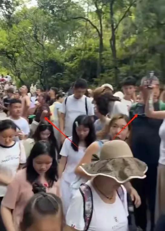 贵州彻底失守！全国游客“攻占”城邦，人潮汹涌，多个地区已沦陷
