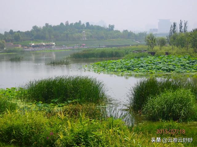 盘点西安那些羽化的风景