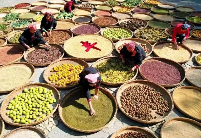 跟着色彩游临沂 | 柿子熟了・田园采摘之旅，承包你的秋日快乐