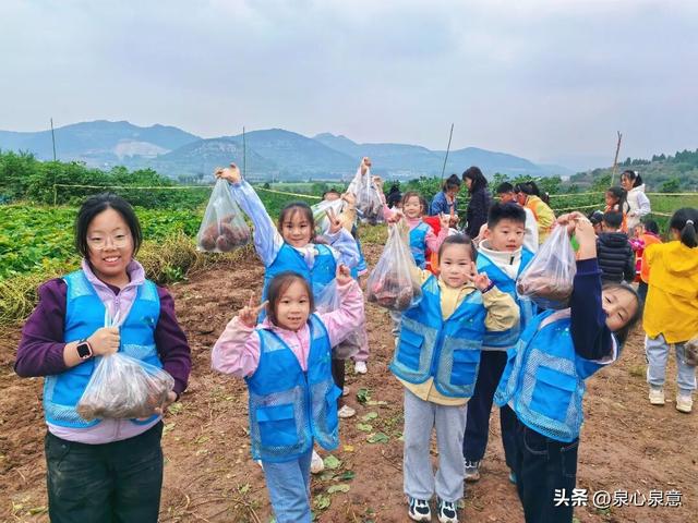 济南有个“神秀谷”，菊花海、红叶，吃炖鸡……周末就去这里啦！