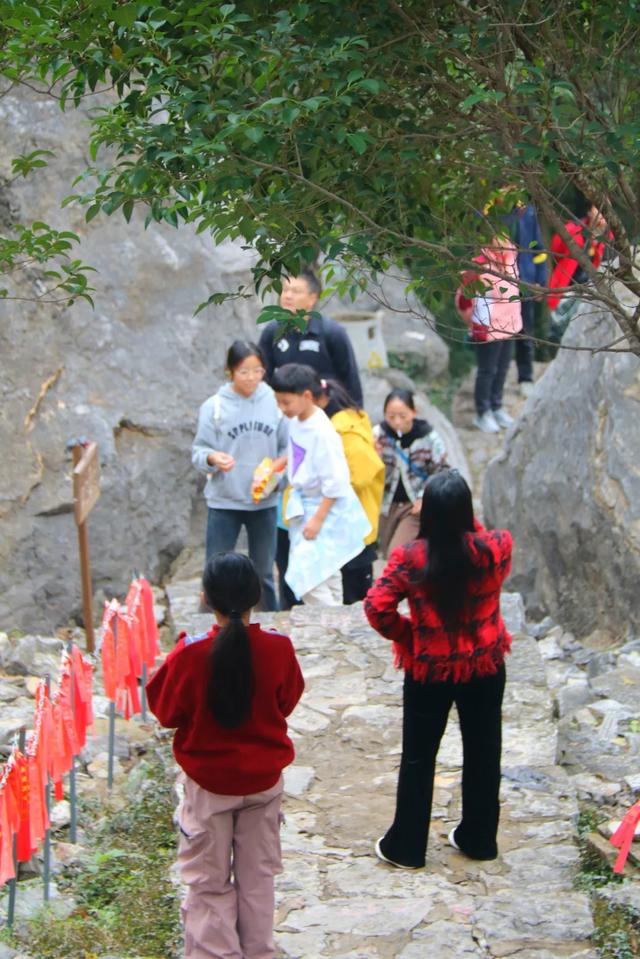2025枣庄市熊耳山第二届彩林文化旅游季盛大启幕