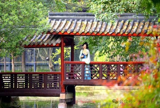 秋假去哪？崇州这些亲子游宝藏地不容错过