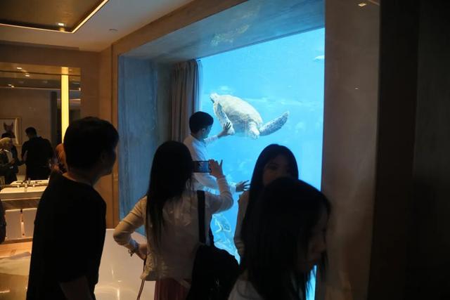 东盟网红漫游海南自贸港采风行走进三亚：邂逅水底套房的梦幻 畅享科技魅力