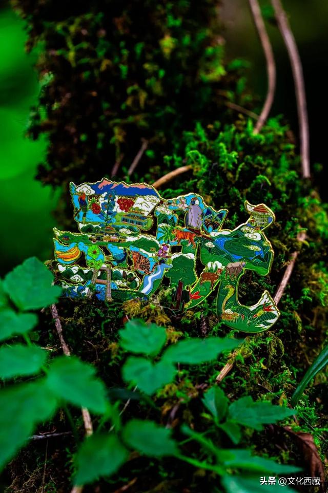 不允许还有人不知道！春天这样收藏微缩版西藏墨脱，太绝了！