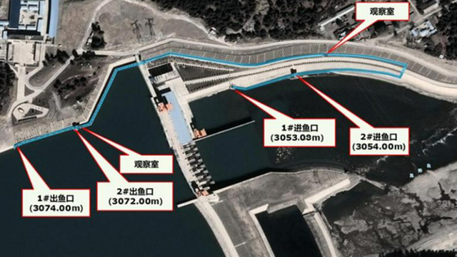 美国工程师：摸不透中国人，大力发展水力发电，却不知里面的危害