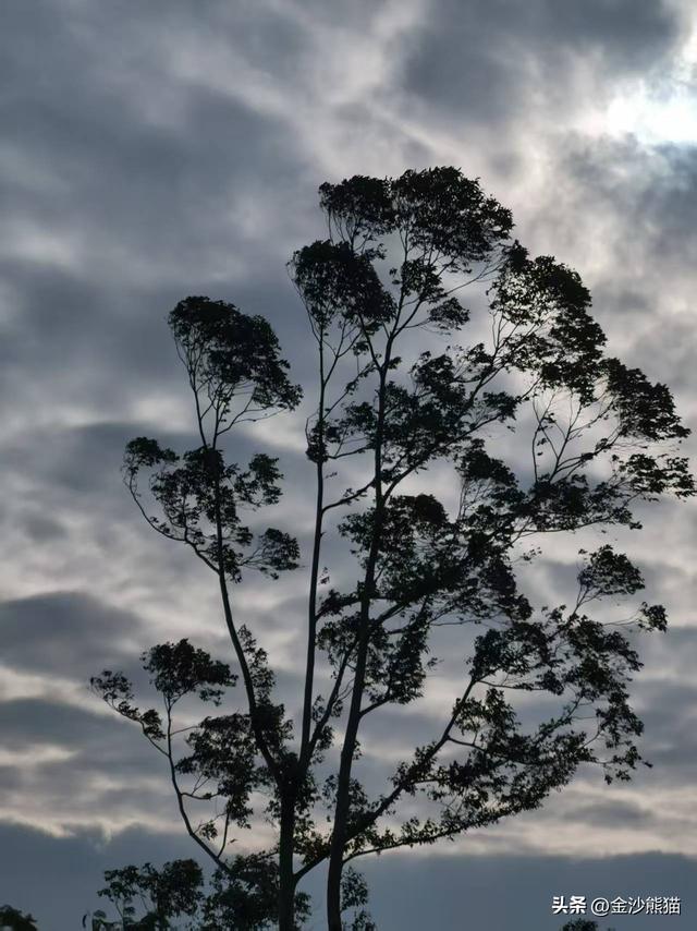 海陵岛上山水写实画一路相伴，双龙连续三年千里骑行22