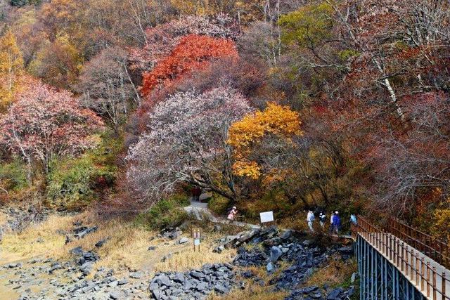 四川这个地方的初冬，是彩色的！