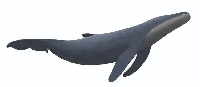 我是母亲后悔没扔掉的“怪胎”｜人间