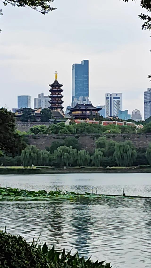 千城万城,我为何如此喜欢南京?
