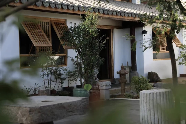 思茅老爪箐的治愈时光 | 暖冬旅居思茅盲盒