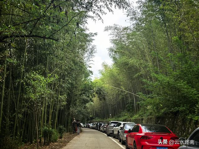 “天下第一福地”、西安这么有名气的地方免费开放，竟然还不知道