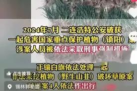 事态升级！24人采野生韭菜花被抓！官方：非法采野生植物评论沦陷图片