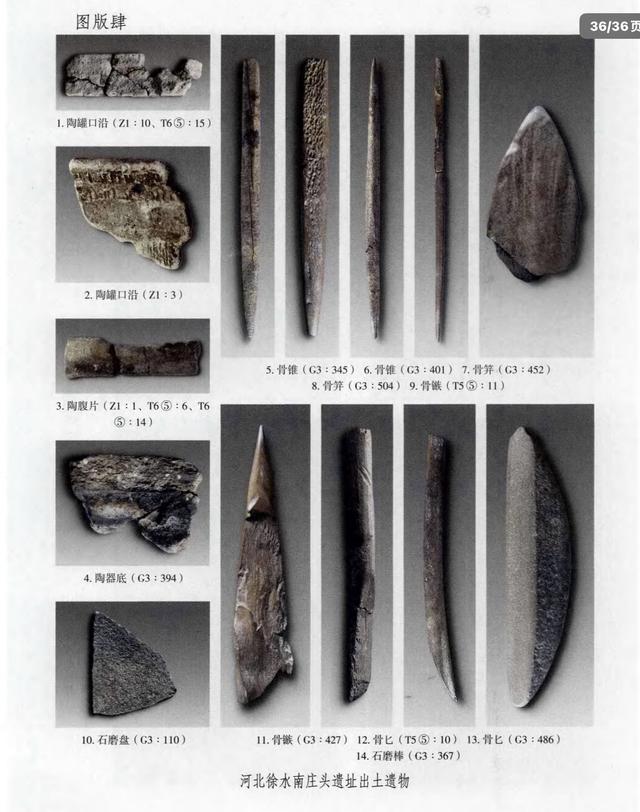保定徐水砖厂工人在地里挖土，不料，一锹挖出万年前的“农家乐”