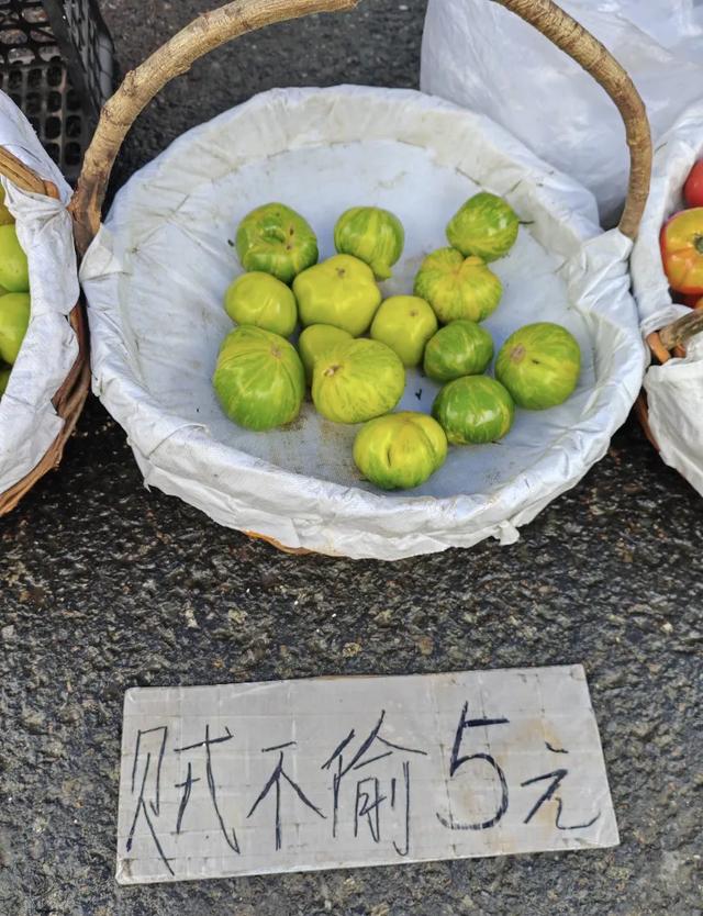 东北旅游，开始流行「命苦三件套」