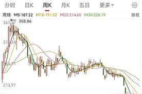 牛气冲天的比亚迪,股价跌成熊样;从358跌到172，35万多人被套住图片