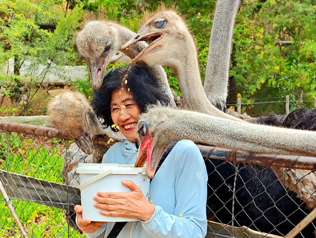 非洲旅游：难忘南非观光之旅纪行（图）