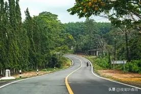 1994年军校报到之路，我走得一波三折，让我第一次认识到社会险恶图片