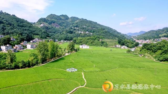 全国热成烤红薯！习水22℃天然空调已开机，速来蹭凉！​