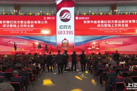 合肥再增一家上市公司图片