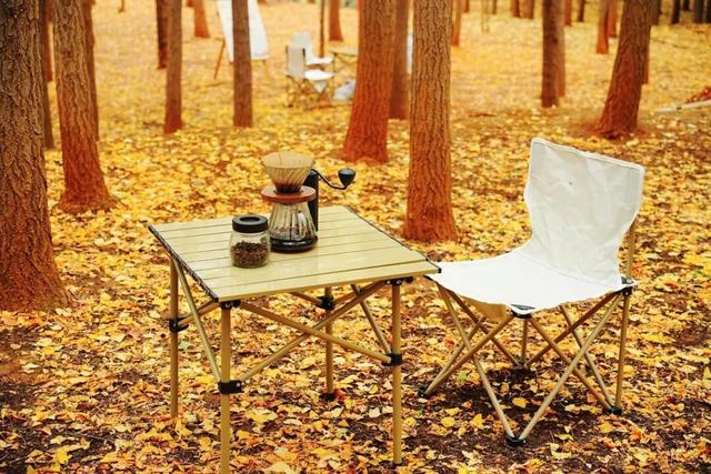 金黄预警！回回营银杏嘉年华来啦！8天秋日狂欢承包你的冬日浪漫