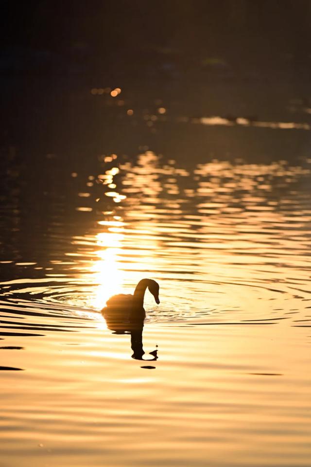 这里是江南诗词最多的城市,它的美有谁懂?