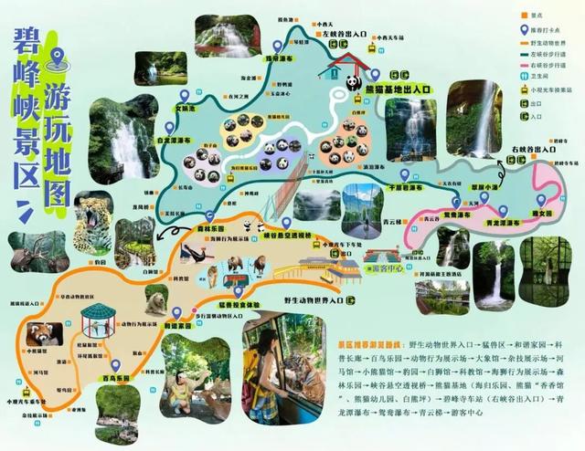 国庆畅游碧峰峡！早鸟优惠限时抢购，攻略+福利一键囤！