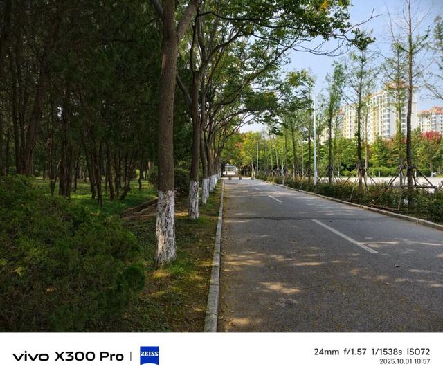 vivo X300系列评测：同级巅峰影像 出片易如反掌