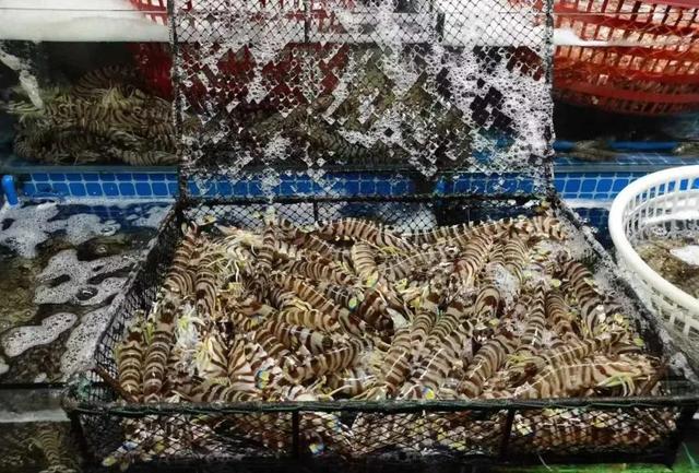 丰台二日漫游指南 | 48小时穿越历史与现代潮流