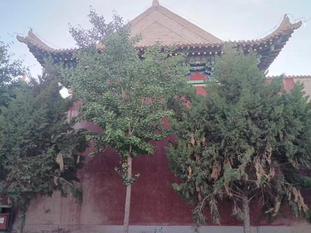 又踏甘肃地之四十二 武威篇之六 武威大云寺的钟楼