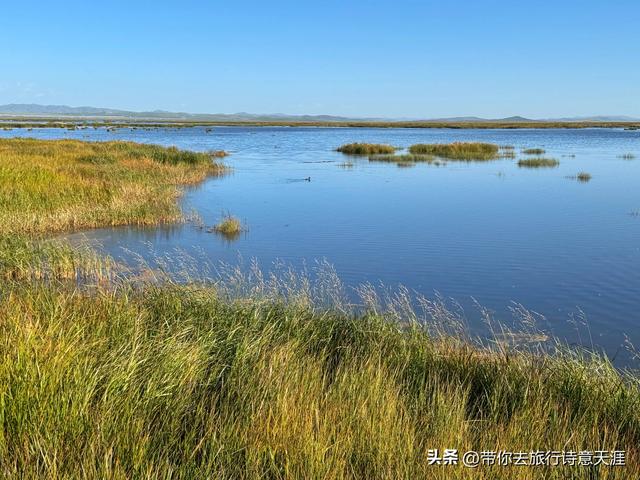 若尔盖大草原之花湖的梦幻仙境