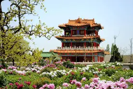 我是河南人，我为河南发言：穿越千年的中原情怀图片