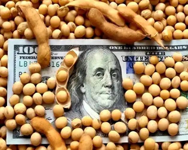 特朗普下令，要把中企一锅端	，美禁令生效前，中国取消10万吨订单