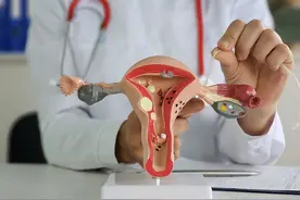 女性若没有子宫，会发生哪些变化？与正常女性的区别在这里！图片