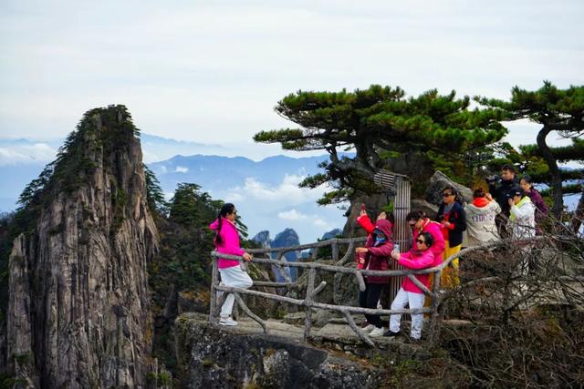 黄山秋色与云海同框的浪漫时刻 | 皖美冬日 | 第十五届安徽国际文化旅游节